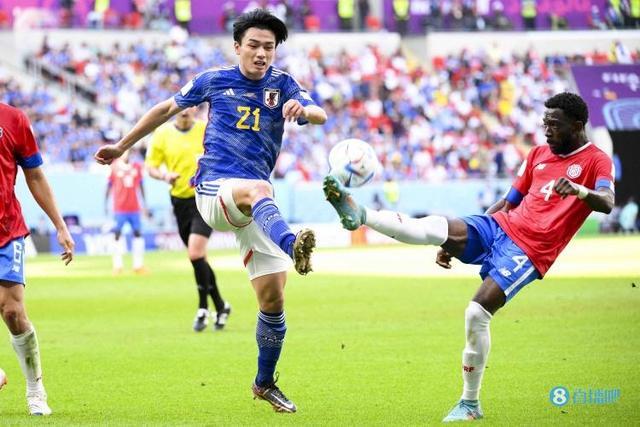 让它在搜索 让它在搜索