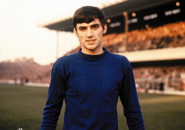 球迷和分析 球迷和分析