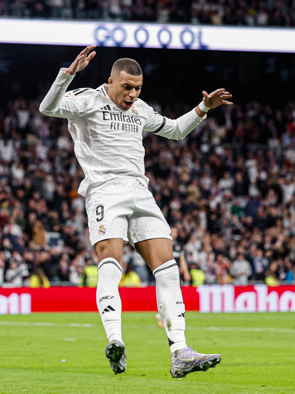 裁判指派的 裁判指派的