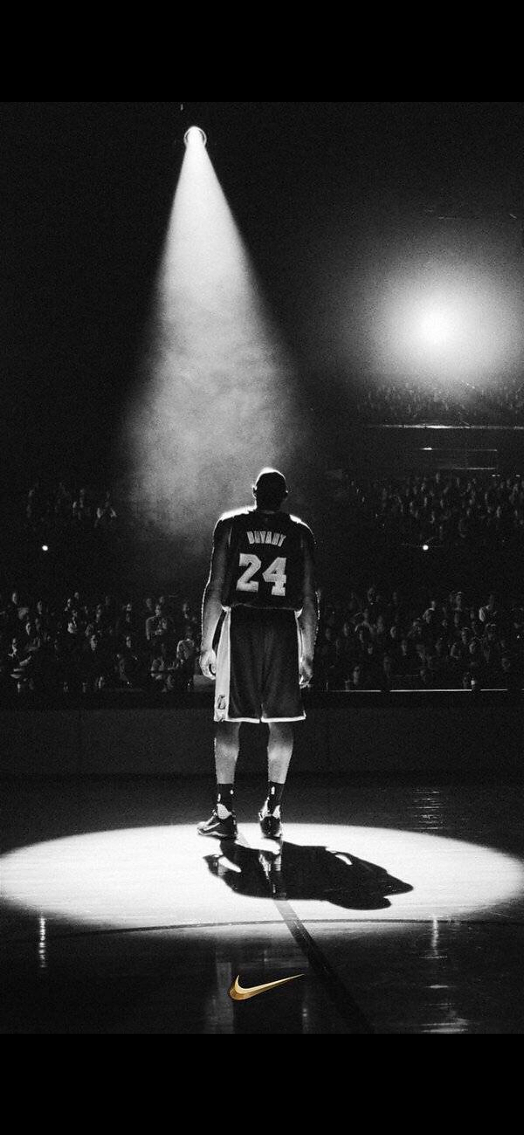 调野辅节奏 调野辅节奏