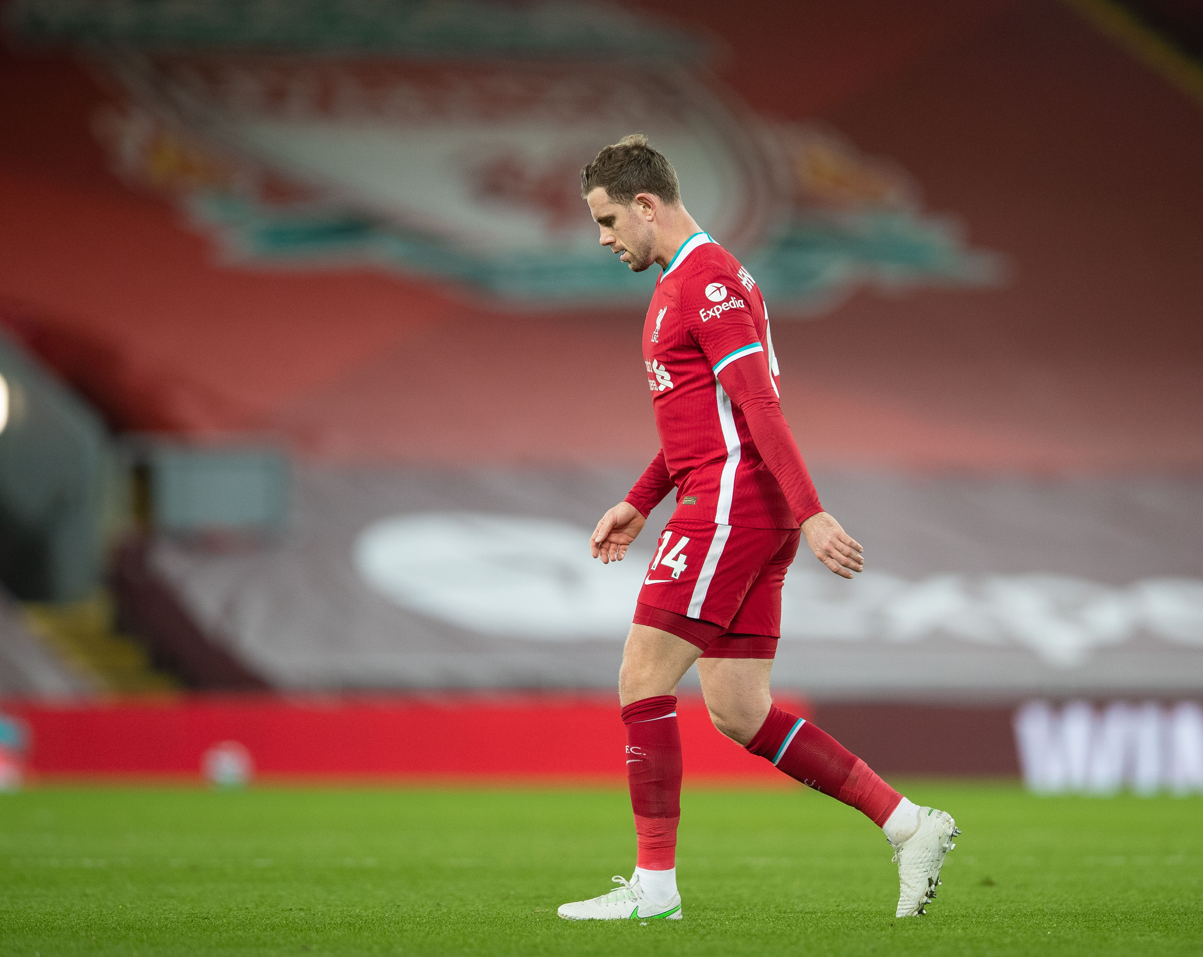 淡滨尼流浪 淡滨尼流浪